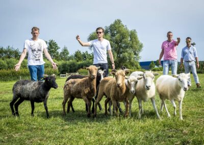 Landgoed Vidaa - Workshops & Events